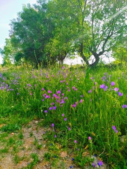 Apartamento En Los Molinos Los Molinos  Eksteriør bilde